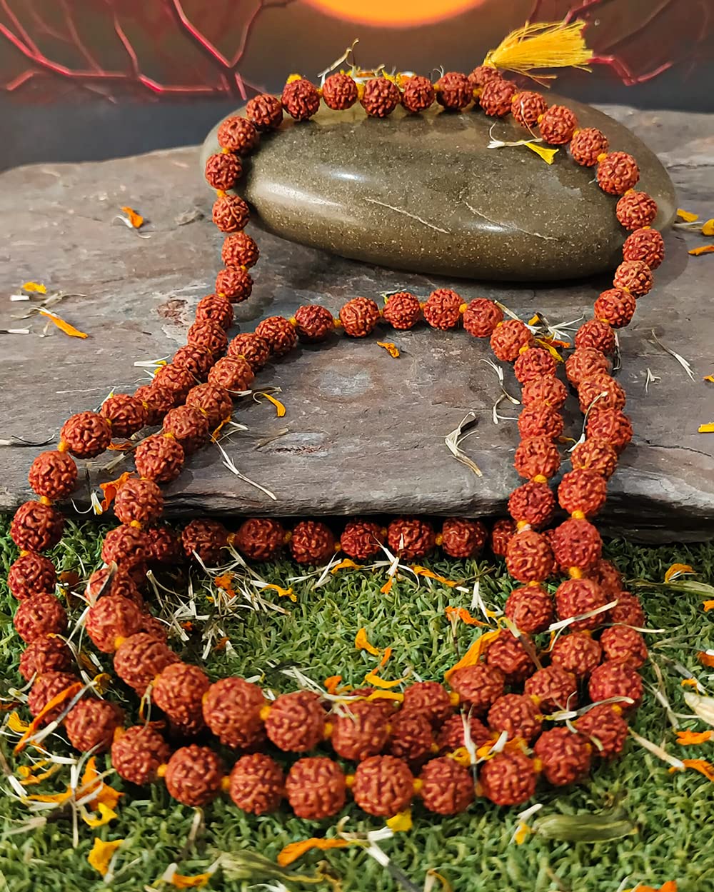 panchmukhi rudraksh