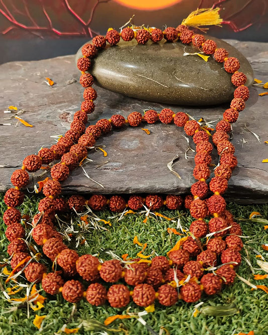 panchmukhi rudraksh